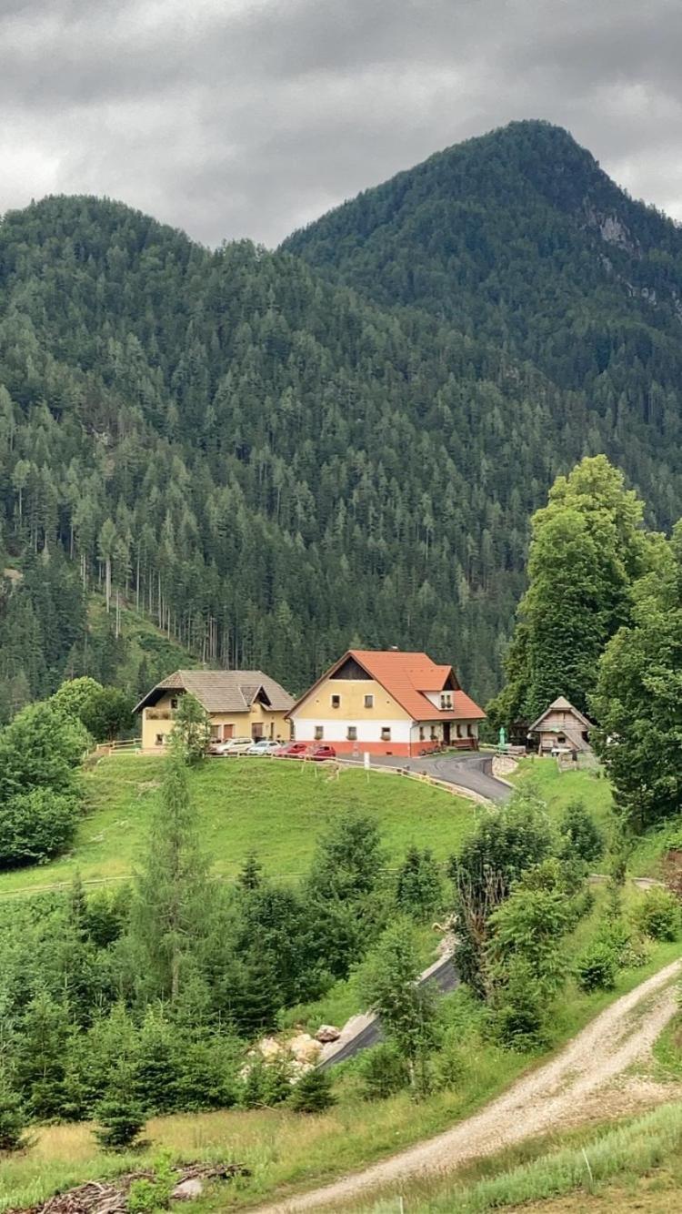 Apartamento Tourist Farm Gradisnik Solčava Exterior foto