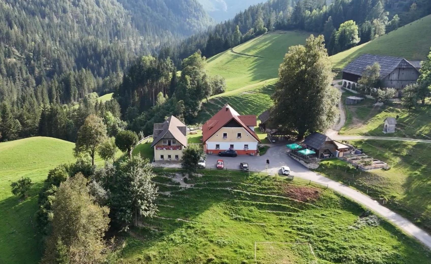 Apartamento Tourist Farm Gradisnik Solčava Exterior foto