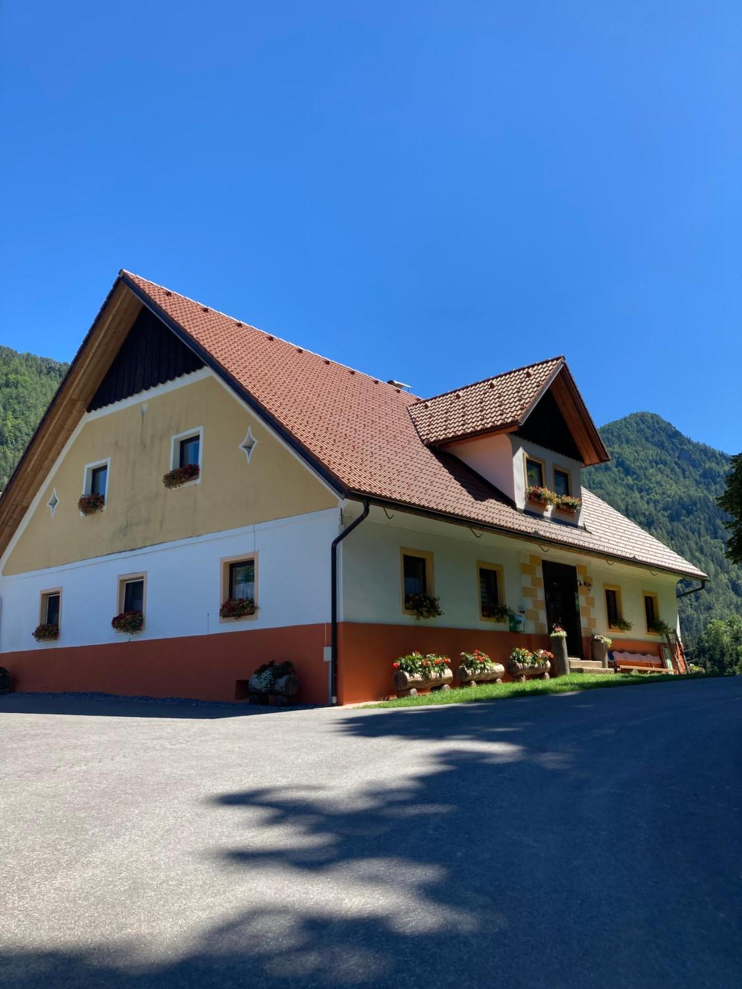 Apartamento Tourist Farm Gradisnik Solčava Exterior foto