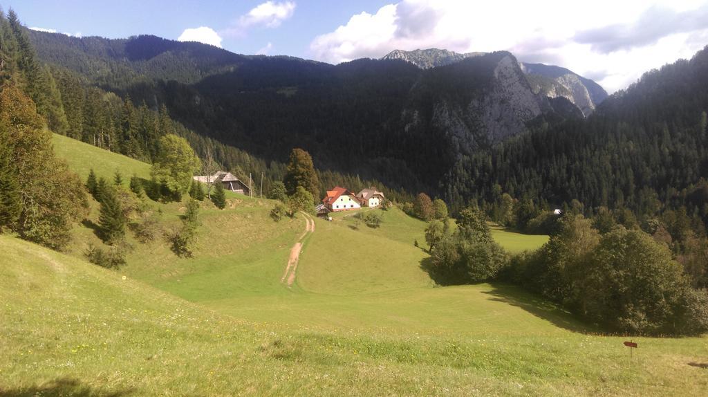 Apartamento Tourist Farm Gradisnik Solčava Exterior foto