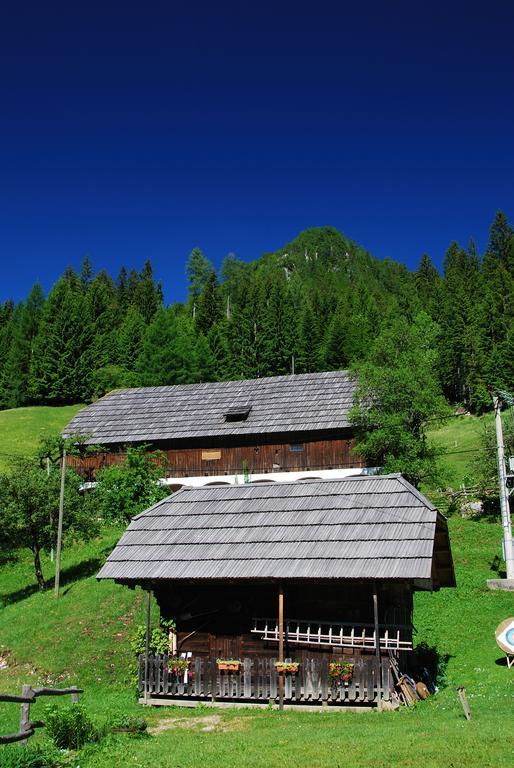 Apartamento Tourist Farm Gradisnik Solčava Exterior foto