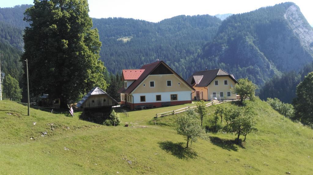 Apartamento Tourist Farm Gradisnik Solčava Exterior foto
